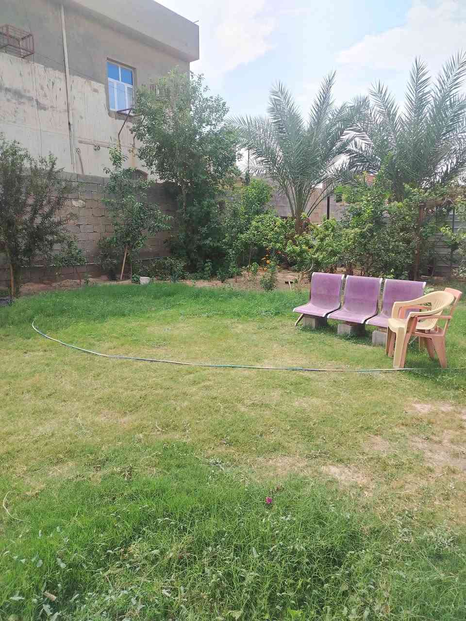الرمادي الصوفيه • طابو زراعي • ٢٢٨م