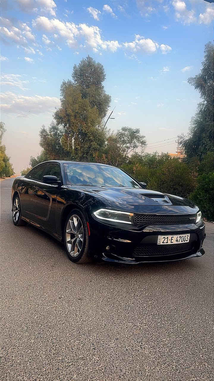 جارجر 2022 GT
بدون صبغ بدون ايرباك بدون شاصي فقط بارد 
ماشية 47 الف ميل
للبيع او مراوس كلشي على وضع الشركة 
سيارة باسمي رقم وسنوية جديد سليمانية
سعر : 243
عنواني كركوك -حي الخضراء 
*********** كركوك, العراق

نص مكتوب في الصور:
- ehab_othel