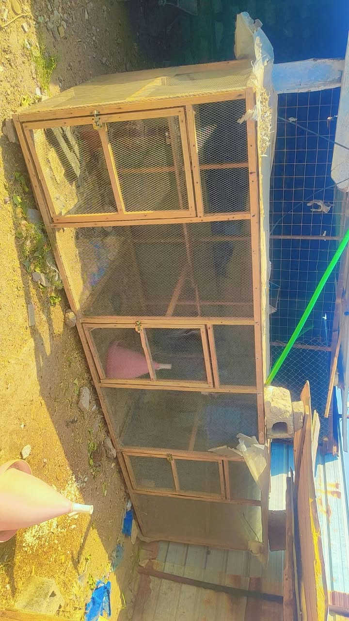 محميه • ٤م • ٣أقفاص
