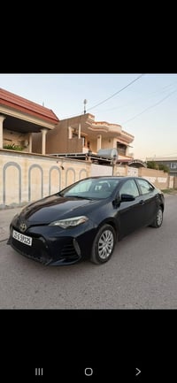 كورلا امريكي • ٢٠١٩ • بدون صبغ