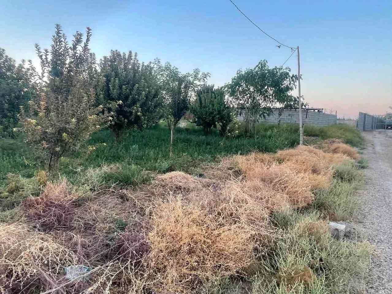 السلام عليكم مزرعه للبيع طابو زراعي (مساحه  دونم )(ماء 💧 بير  حلو + مي اساله  كهرباء ⚡️ ع تبليط بيه حضيره حيوانات  عنوان شهابي  خارج موضفين    >< سعر 50 ()()()قابل للتفاوض لاستفسار ‭***********‬
