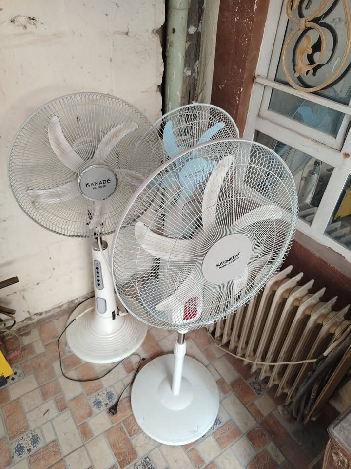 للبيع قيم وتدلل 

‭***********‬
