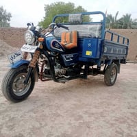 ستوته • مكفوله • ٢٠٢١