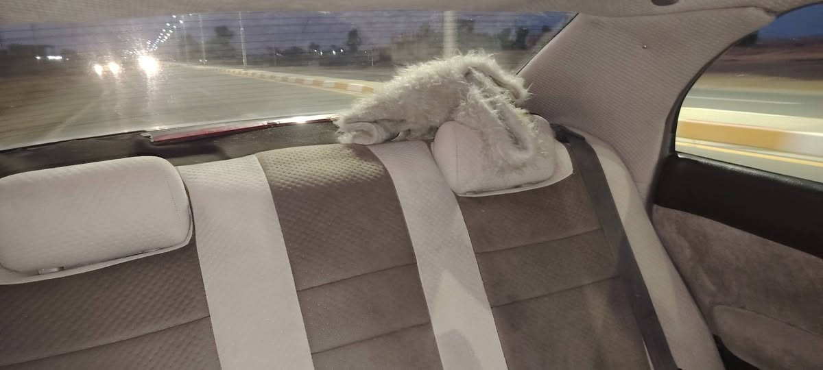 سيارة بطة موديل ٩٥ كير شرط محرك شرط تبريد شغال كهربائيات كلها شغالة غرفة مرتبة منفصل لون صدفي رقم الماني نينوى تحويل مباشر للإستفسار الاتصال على الرقم *********** السعر حيل مناسب

