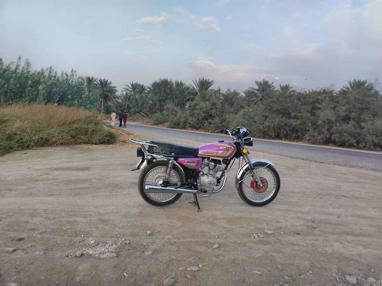 تايگر سونك • موديل 26 • كفاله عامه