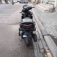 زد ار • نضيفة • اسبوعين