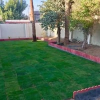 ثيل طبيعي • ديالى • توصيل