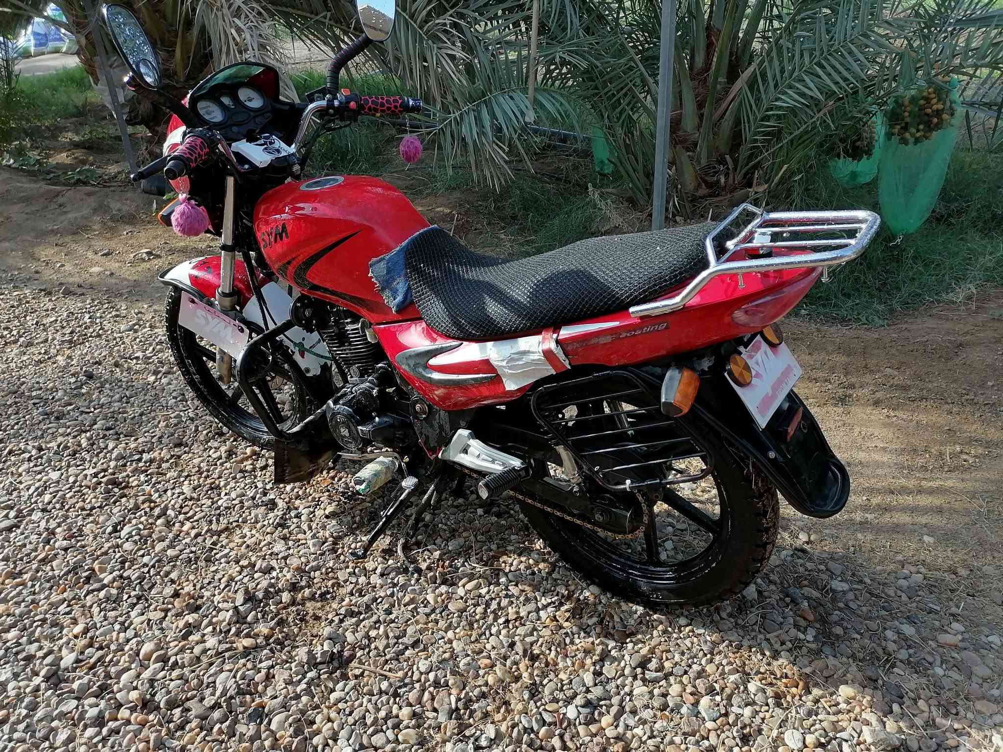 سايم • موديل 17 • عانه