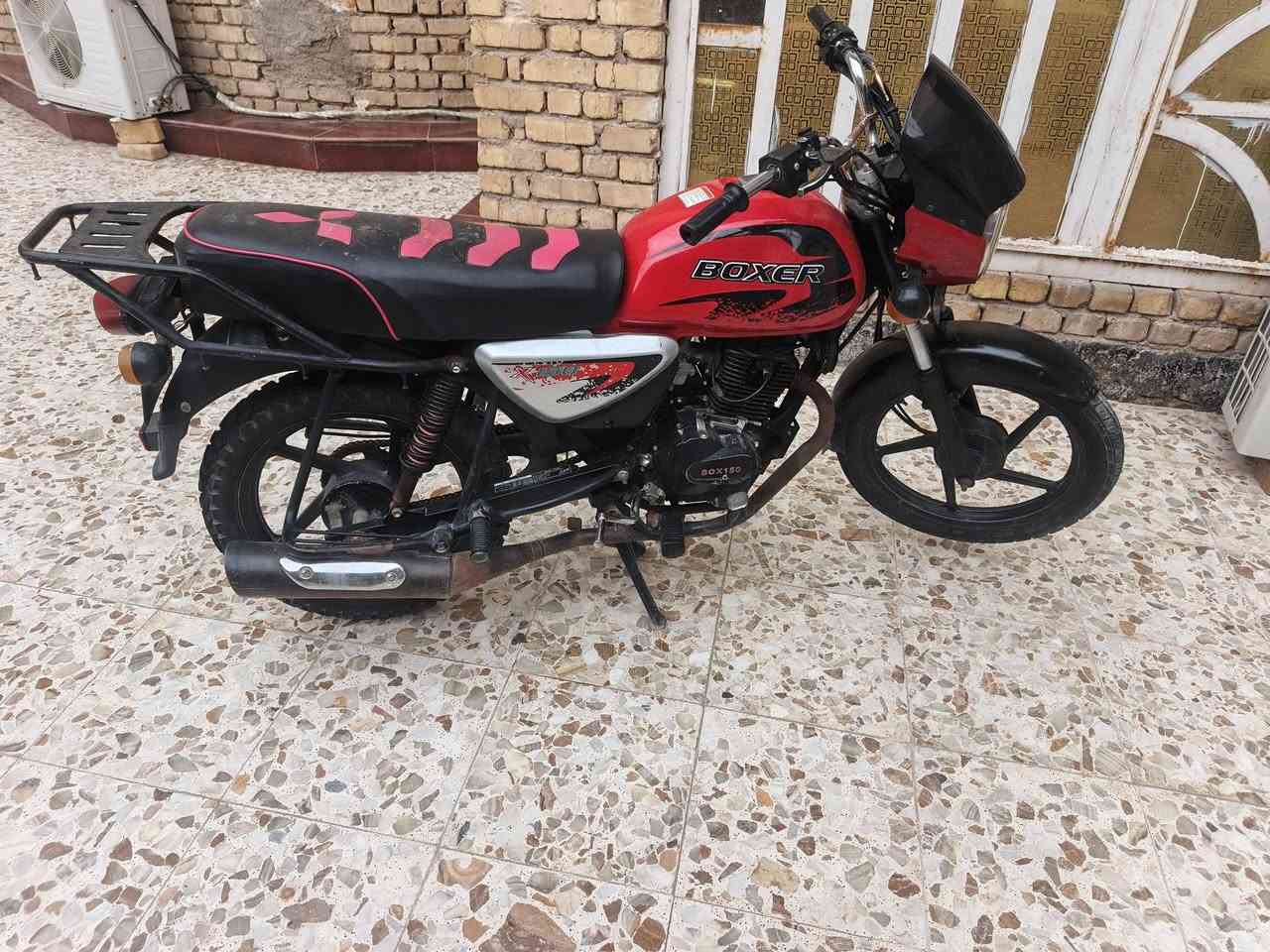 بوكسر • كلك • مكفول