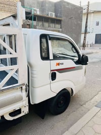 البصرة • موديل ١٥ • مكفولة