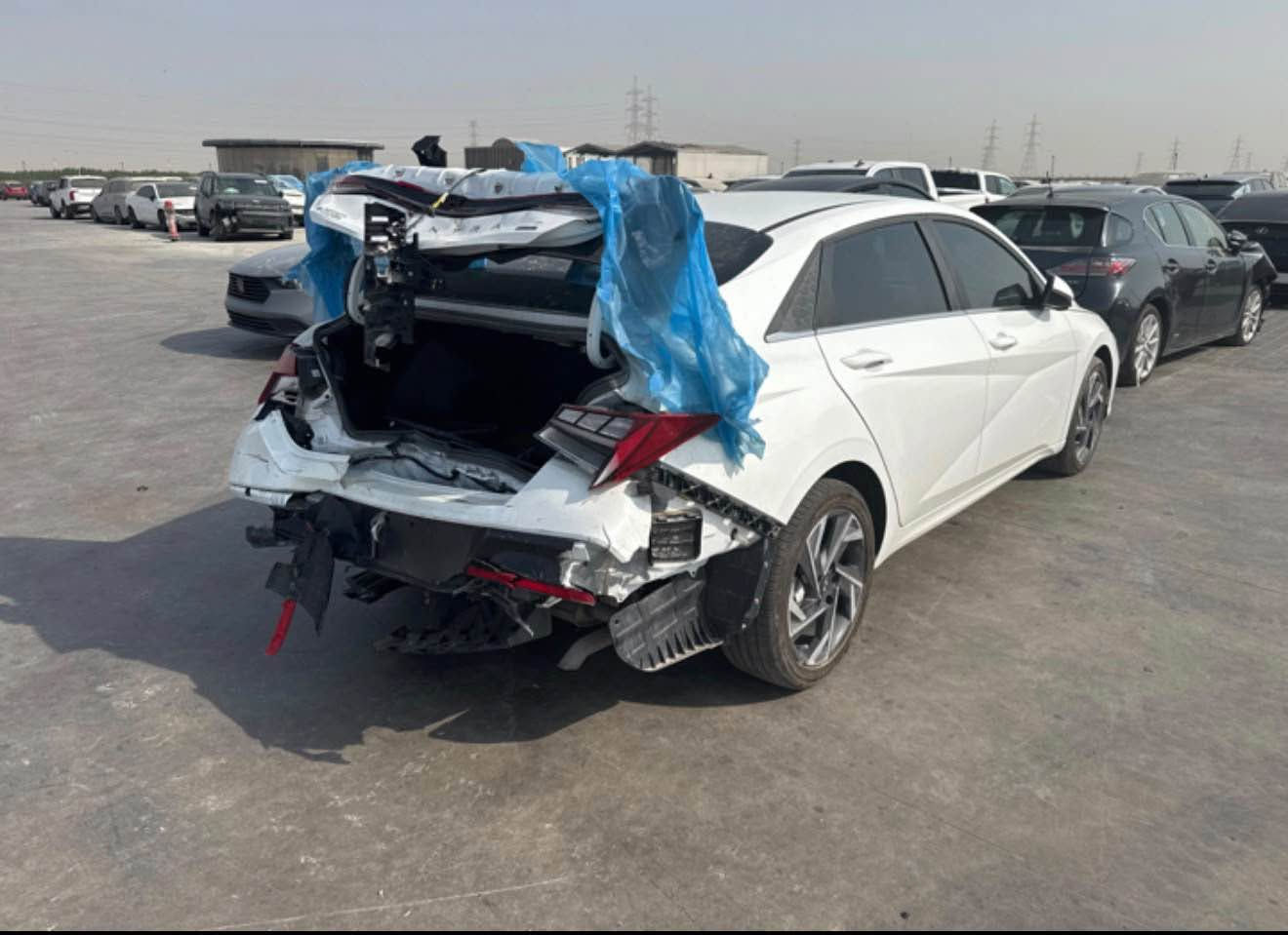 هايبرد • ٢٠٢٥ • مبدل ومصبغ