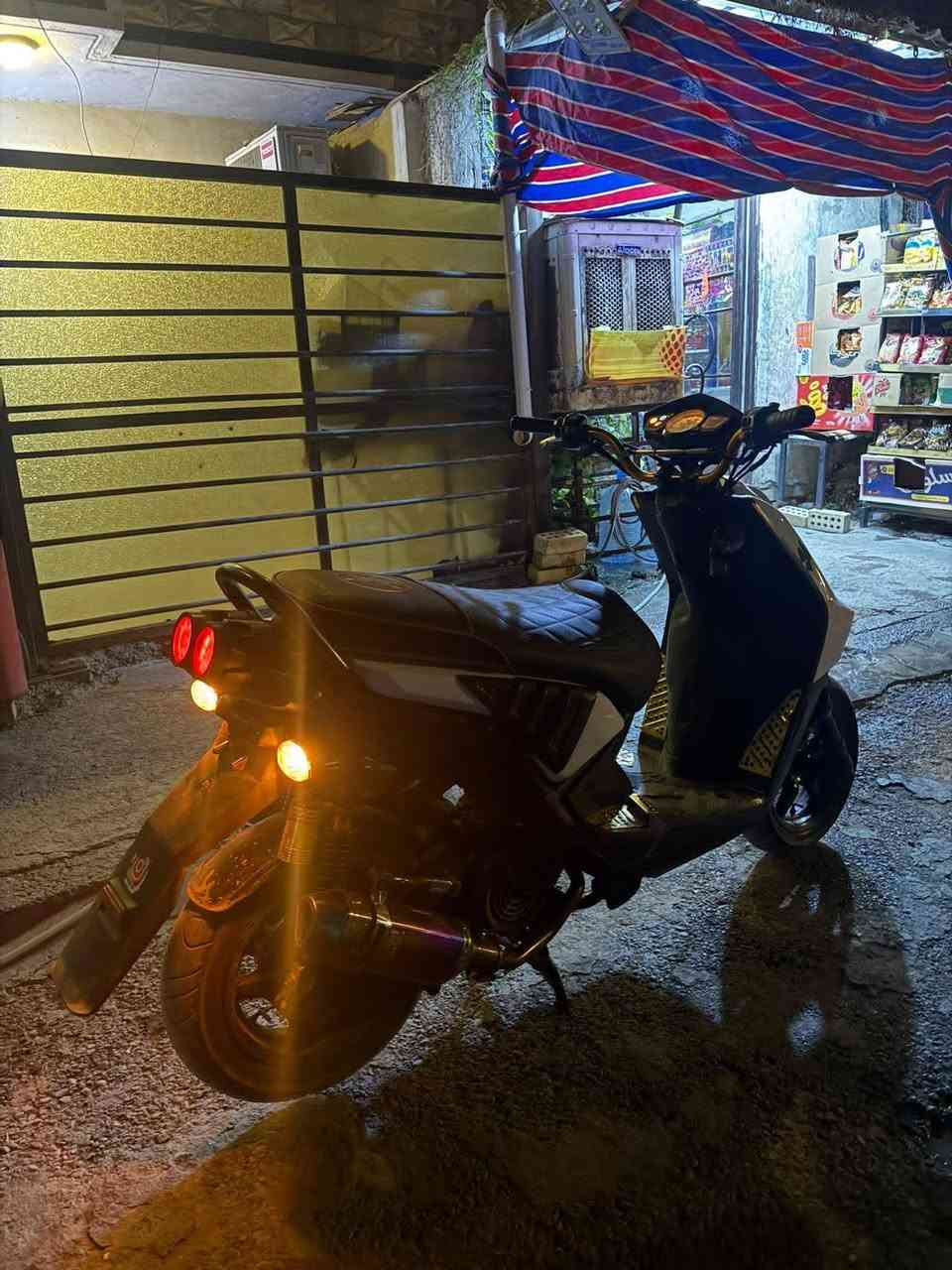 سكنس جبلي • معلكه • ولف
