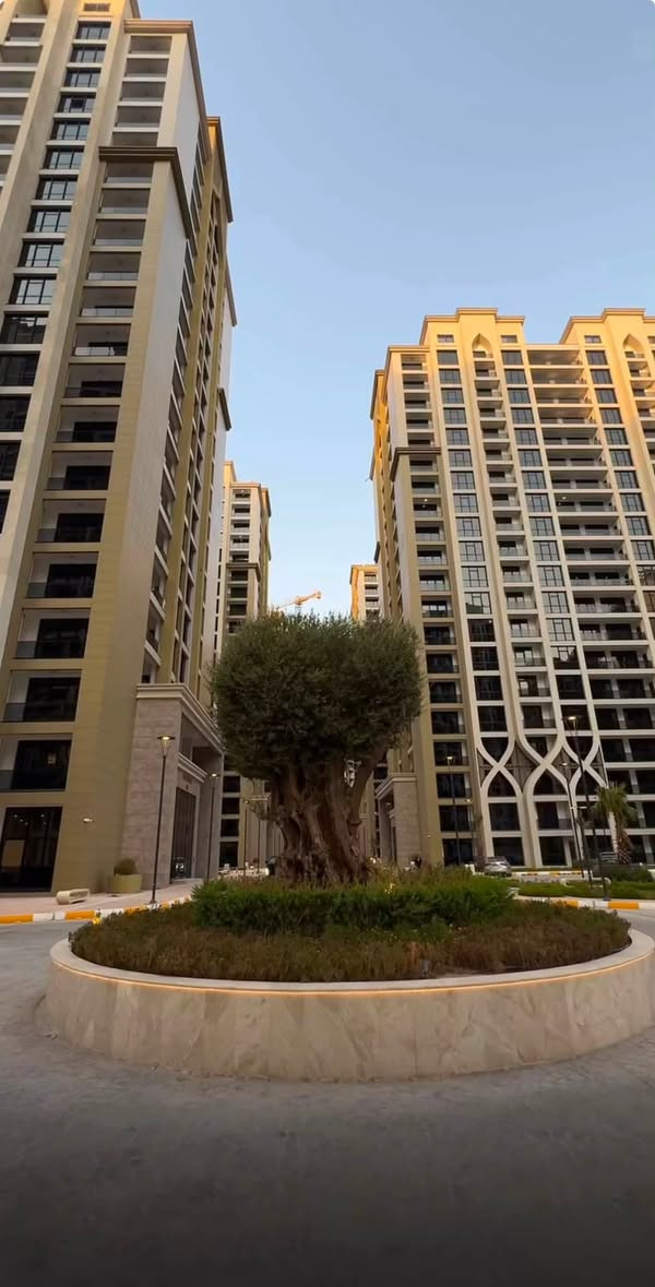 شقة للبيع في مجمع ابراج النخلة

مساحة 224 متر طابق 14

3غرف نوم 

إطلالة داخلية على البوليفار والنافورة 

استلام مباشر جاهزة للسكن 

بعرض ممتاز للاستفسار الاتصال بالرقم :

📞***********📞
