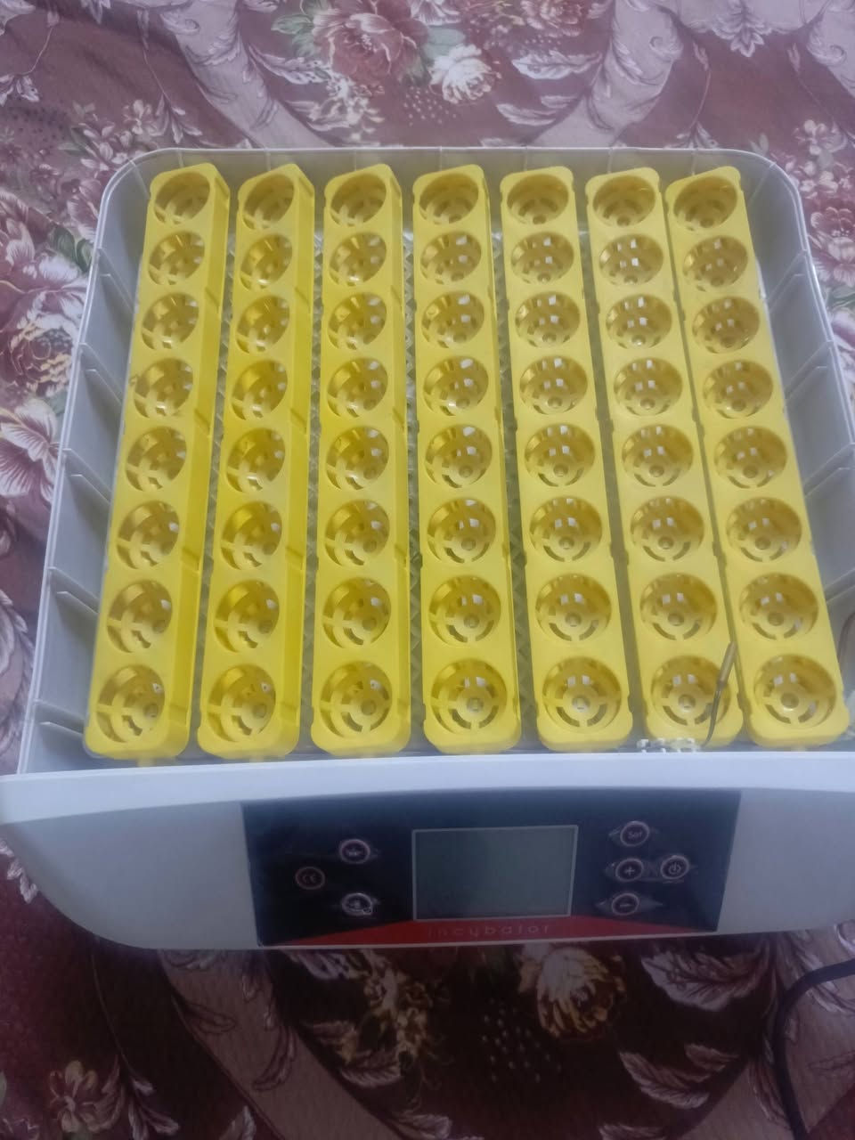 فقاسة • ١٢ بيضة • ٥٦ بيضة