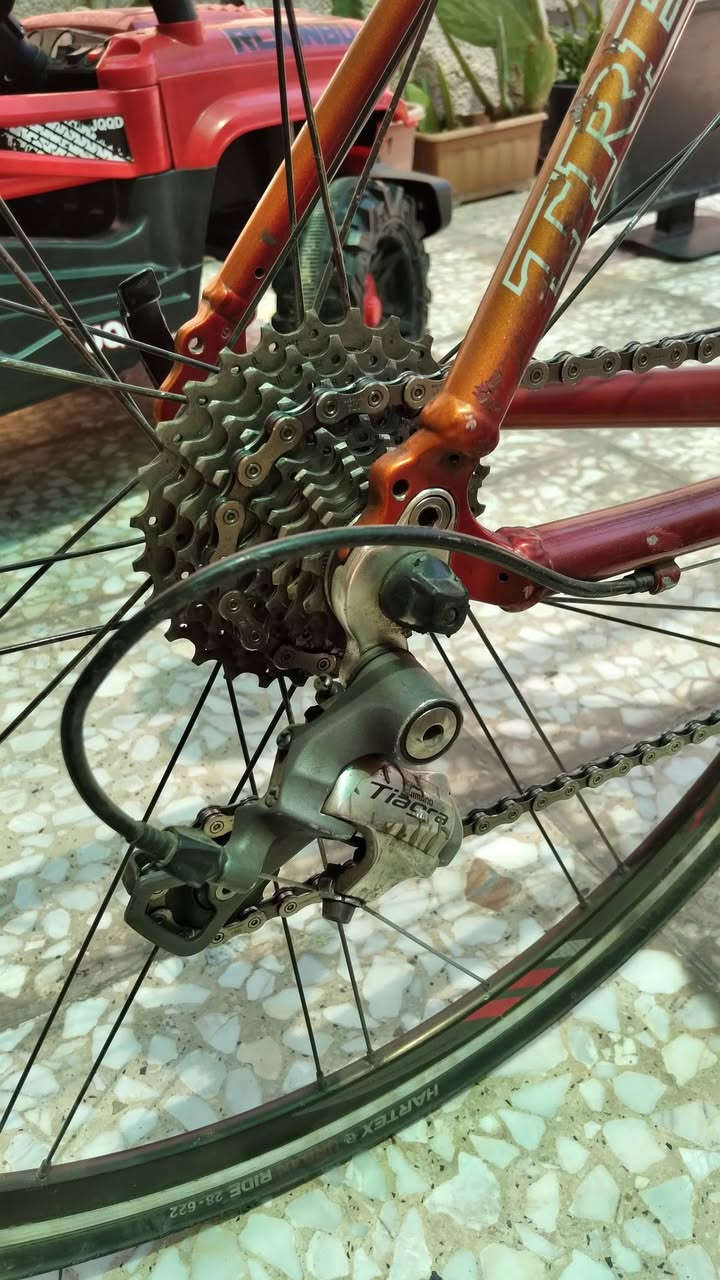Trek1200
قياس 52   M

المنيوم

كروب سيت تياكرا بالكامل براكيت 

2*10

وياله SS بونتريكر

السعر ٣٠٠ الف

كفاءات السيدية 

*********** واتساب
