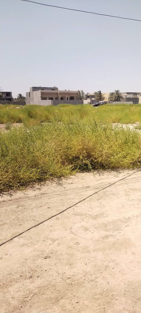 السلام عليكم للبيع قطعه ارض مساحتها 100 متر الواجهه 5 متر والنزال 20 متر قرب جامع الكريم بظهر مكتب الفهد للاستثمار العقاري بضهر الفلل البيض قرب مضخة الماء الاتصال عالرقم
***********
