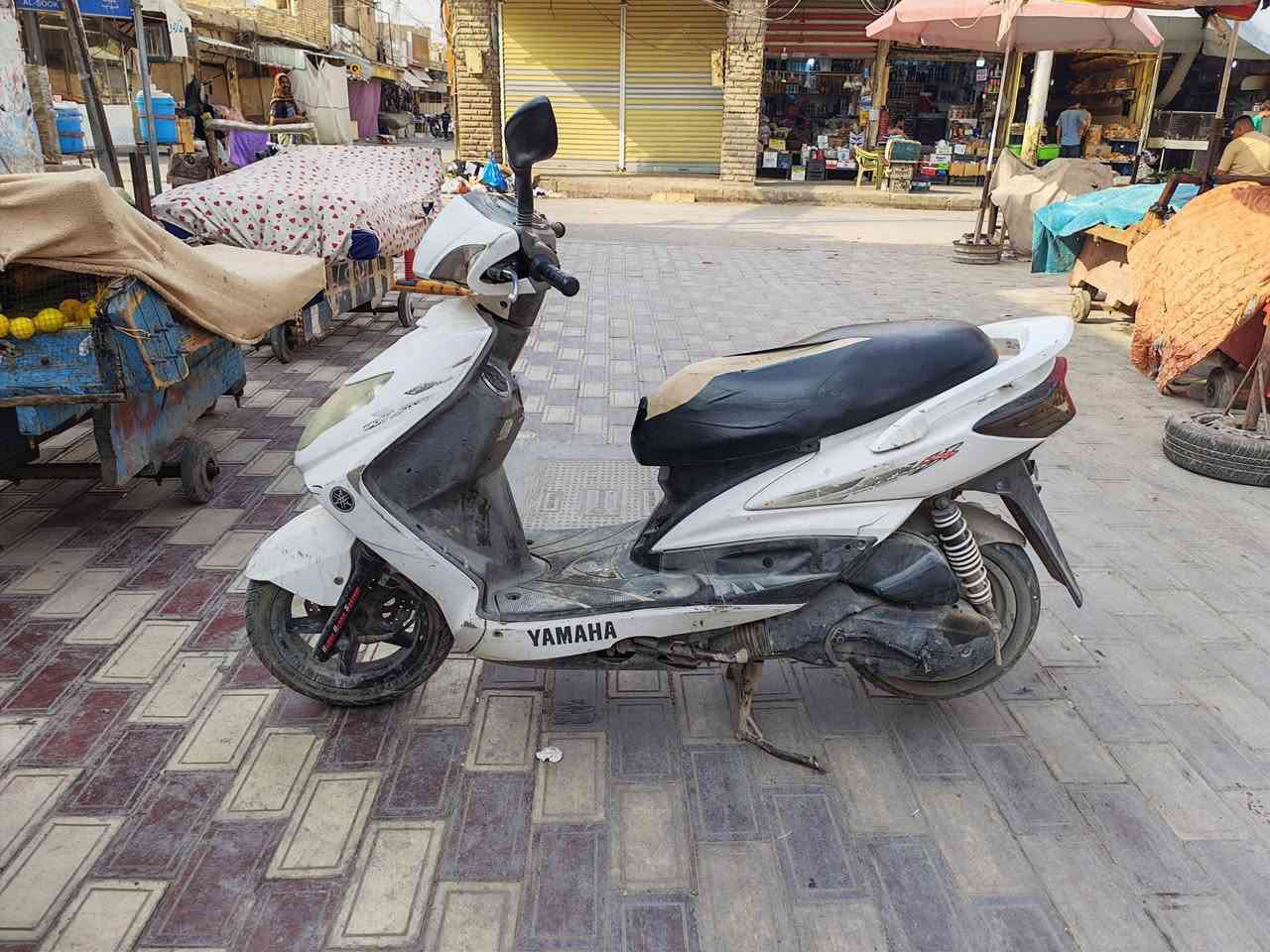سكنس فحل • جديده • كهربايات شغاله