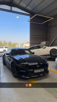 موستنك ايكو بوست • ٢٠٢٢ • رقم اربيل