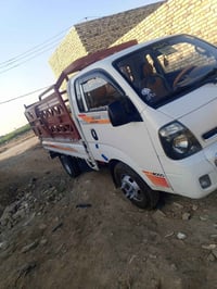 كيه فحل مفتوح للبيع مكفول  رقم بابل موديل 18  وباقي التفاصيل لي يحب ين...