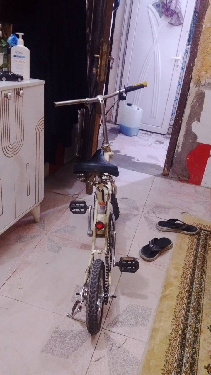 بسكليت • بنجر قدام