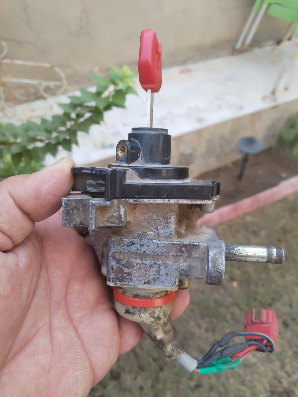 جوزات مال فحل سكنس تفصيخ مكان مشتل سعر ٣٠ عل شغل ***********
