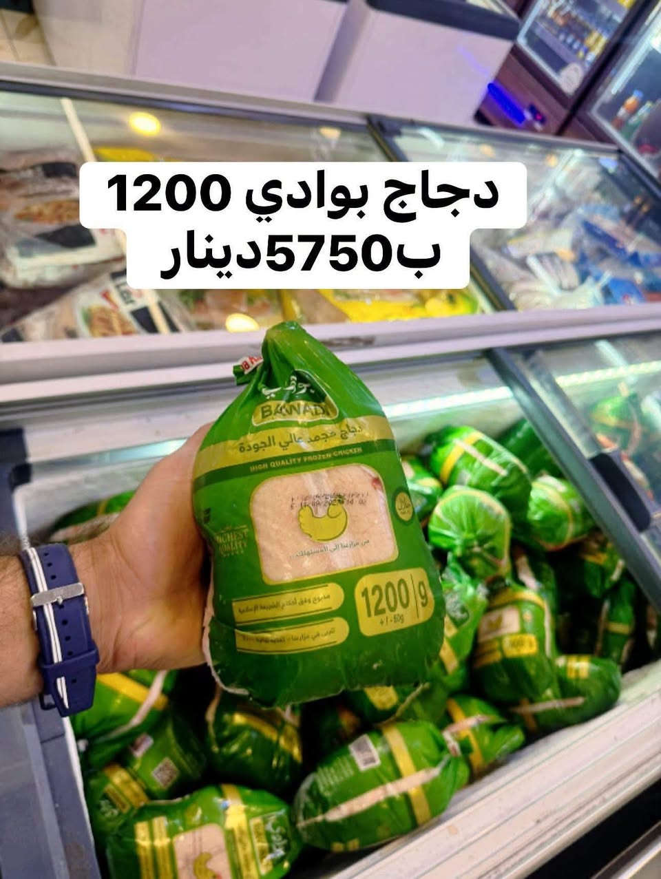 دجاج البوادي • بكل الاوزان • حي البتول