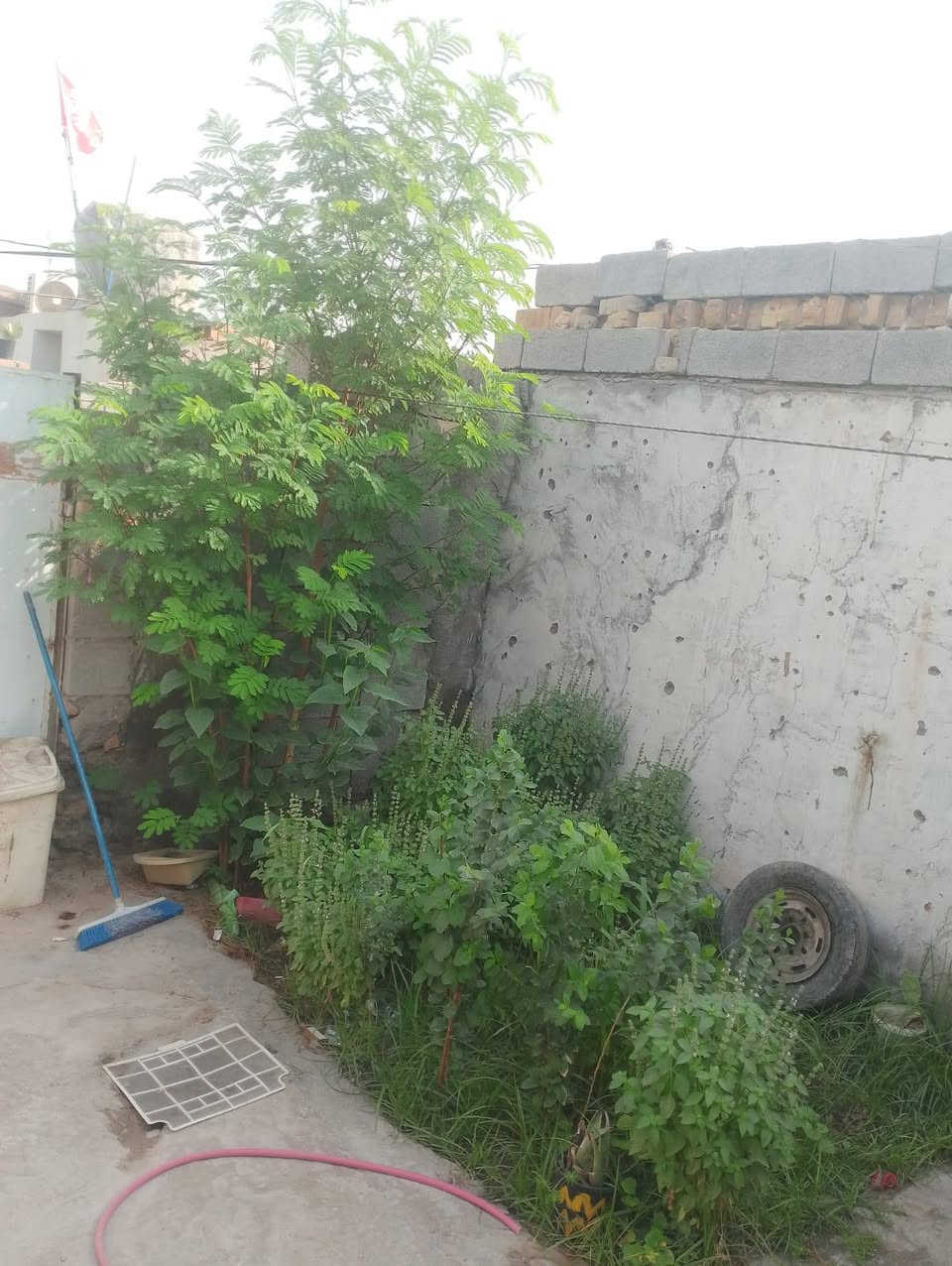 ميسان • ١٢٠م • غرفة وصالة