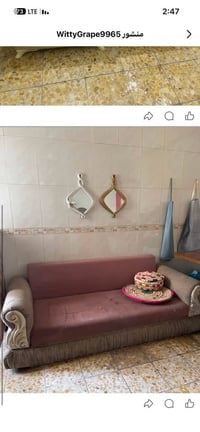 تخم مجاناً المكان الغدير بغداد 07703954617