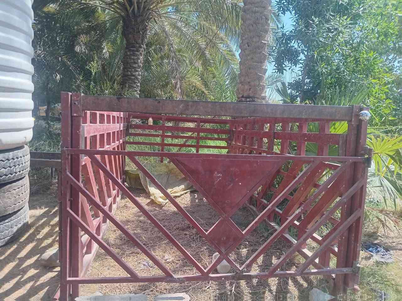 السلام عليكم محجر كيا فحل تساكم السعر500الف وبيه مجال  
المكان غماس مشواريف 
لتواصل 
***********
