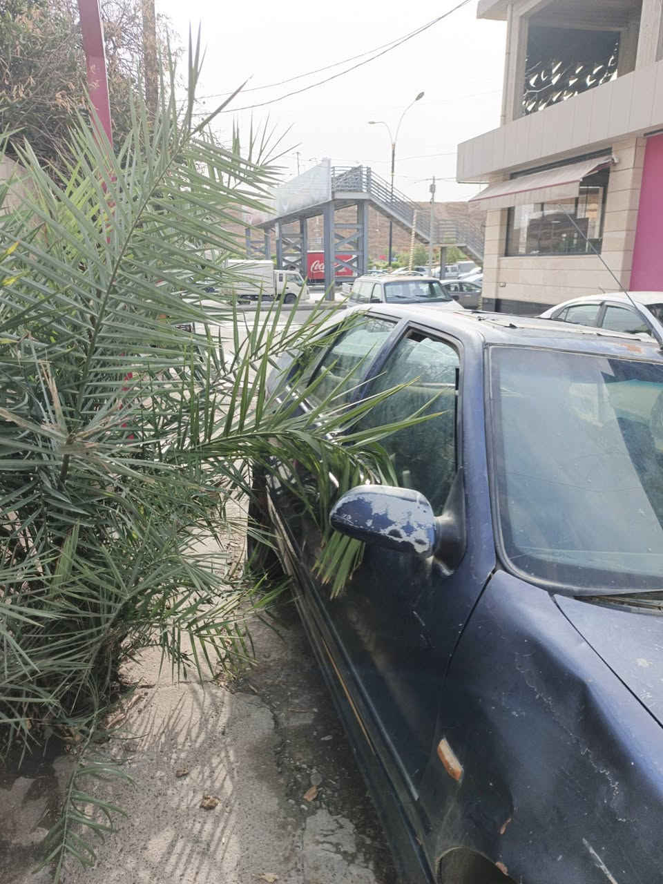موديل ١٩٩٢ • كير عادي • رقم نينوى
