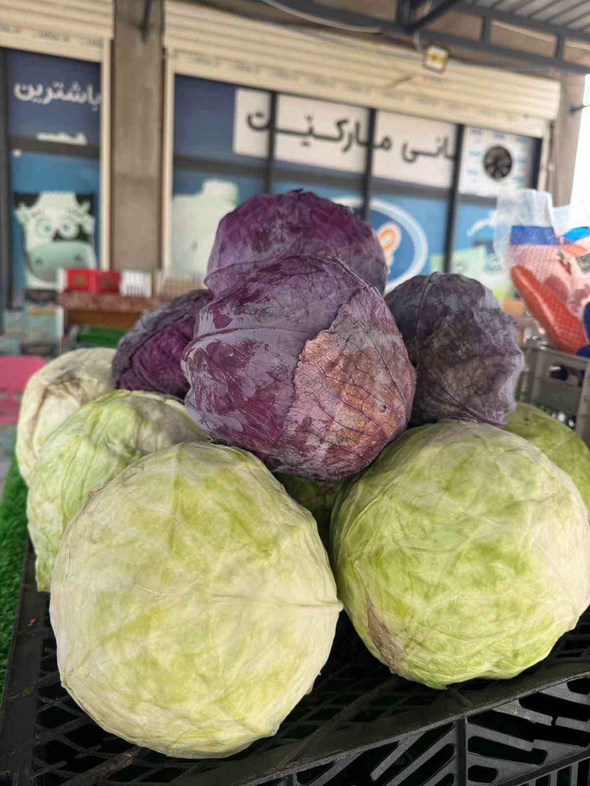 مشروع مدينة الوند • خانقين • متواجد ٢٤ ساعة