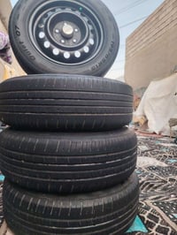 بوب الشام • تخم • مراوس