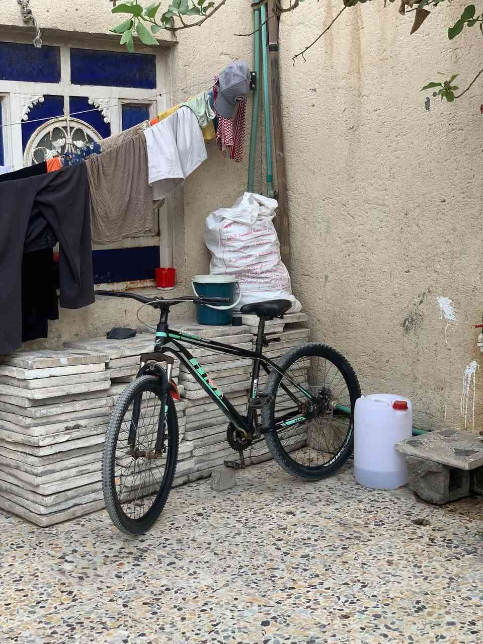 باسكل • البصرة • كرمة علي