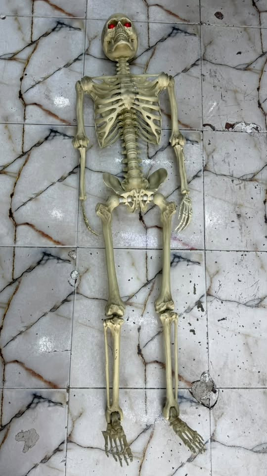 هيكل لبيع طوله165
سعر75
وتساب***********
