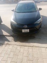 كورلا • ٢٠١٥ • كربلاء