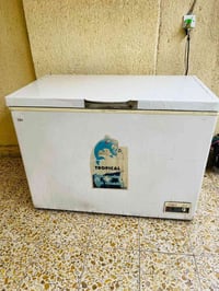 مجمدة • ١٦ قدم • تجميده زين