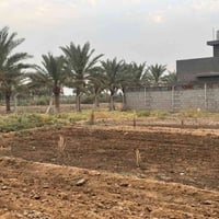 دونم ونص • طابو سند 25 • شارع نجف كربلاء