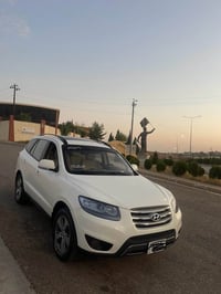 سنتافي ٢٠١٢ • فول فول • بدون صبغ