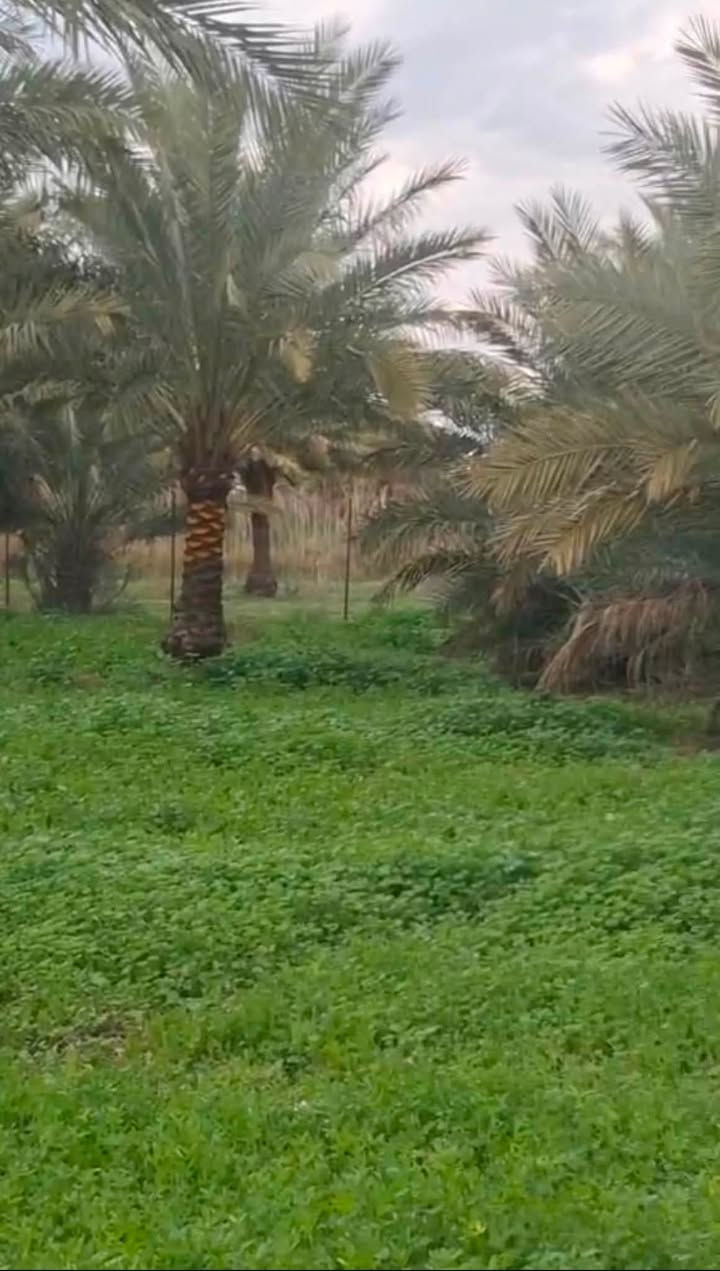السلام عليكم
دوانم للبيع (طابو ٢٥) قضاء الصويره ناحيه تاج الدين الحفريه مقابل البانزينخانه الحكوميه تبعد عن الشارع العام بغداد كوت كيلو ونص خدمات ماء كهرباء وأساله وتبليط 
رقم صاحب الأرض  ‭***********‬

                      ‭***********
