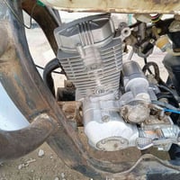 ستوته • دايون • مامفتوح