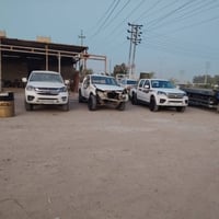 كريت اصليه • مضروبه • ديوانيه عفك