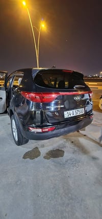 سبورتج • ٢٠١٩ • وارد امريكي