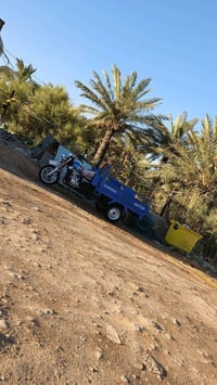 ستوته • جديدة • ٥شهر