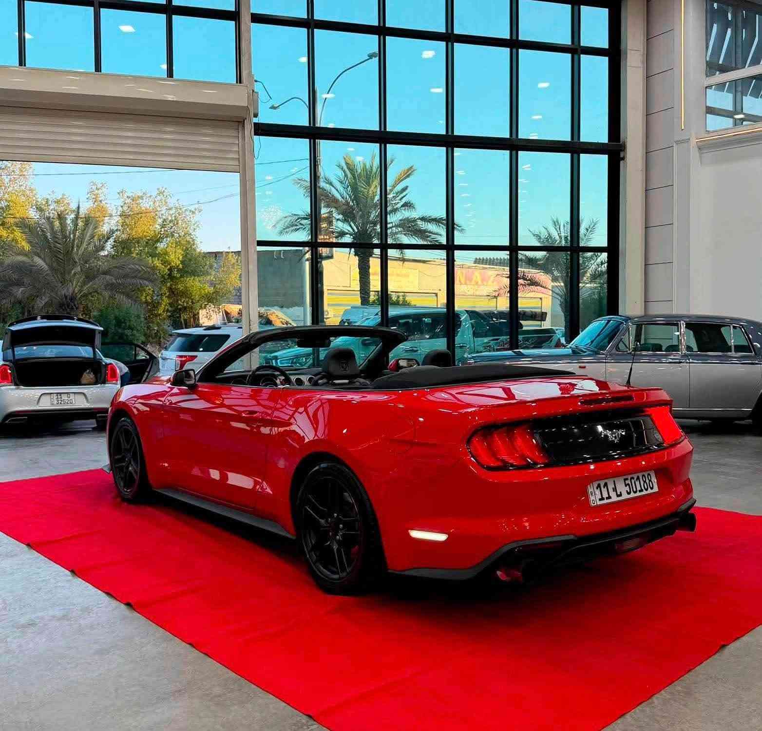 🏎️ فورد موستنج 2022 - بريميوم فول (كشف) للبيع 🏎️
🔹 المواصفات العامة:
 الموديل: 2022
 الفئة: بريميوم فول (كشف)
 المحرك: 4 سلندر 2300 تيربو (EcoBoost)
 المسافة المقطوعة: 52 ألف كم
🔹 المواصفات والاضافات:
 كشنات جلد (تدفئة + تبريد)
 كشنات تحكم كهرباء
 شفتات ستيرن للسرعة
 شاشة وكاميرا خلفية
 رادار أمامي + رادار جانبي
 حساس خلفي
🔹 حالة السيارة (الحادث):
 الحادث: جاملغ وبنيد
 التفاصيل: البنيد مستبدل نفس اللون، والجاملغ مصبوغ
💵 السعر: 145 ورقة ($14,500) وبيه مجال طيب للشراي
📍 العنوان: بغداد - الكاظمية
*********** بغداد, العراق
