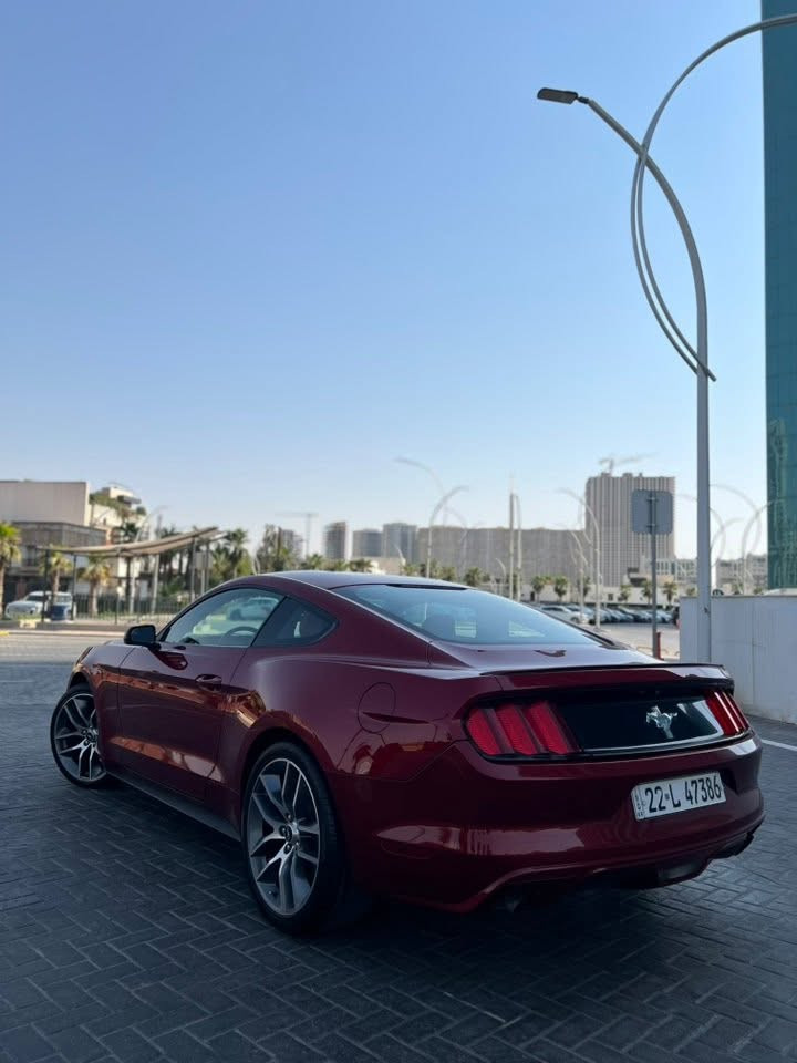 فورد موستنك ٢٠١٦ كلين V6
موستنك ٦ سلندر موديل ٢٠١٦ مواصفات ٦ سلندر معروف شاشه جبيره بلاديه و ٤ وضعيات فعاله وياله ٢٠ اينج GT Premium باك لايت مود كشن كهربائي دعاميه بلاجكتور سياره نضيفه و بدون اي نواقص بدون صبغ بيها شبر PDR و شبر تعديل فقط ماشيه ٩٢ ميل محرك و كير و اكسل و كهربائيات كله بشرط سعر ١٦٠ ورقه و مجال قليل 
***********
***********
(کوردی) 
مۆستانگ ٢٠١٦ کلین V6 شاشە گەورە بیلادی ٤ مۆدی کارا ویل ٢٠ ئینج GT Premium بەگلایت مۆد و کوشن کارەبایی و دەعامی بلاجکتۆر. بێ سبوغ تەنها ١ بست PDR و یەک بست تەعدیل تەنها ٩٢ میل ڕۆیشتیە گێڕ و مەکینە و ئەکسل و کارەبایات بە شەرت نرخ ١٦٠ وەڕەقە و مەجالەکی کەم
