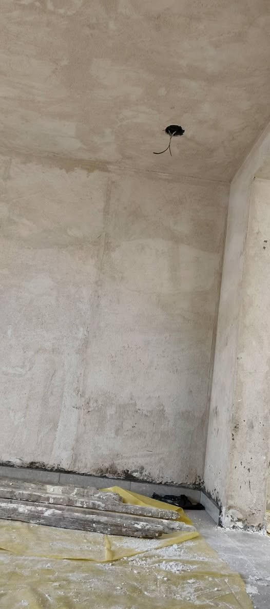 لبخ سمنت وجص وبورك***********
نبات بنفس الموقع
