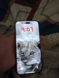 آيفون ١٦ برو ماكس • ٢٥٦ • بطارية ٩٥