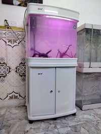 الحسينيه • متاح • توصيل داخل بغداد