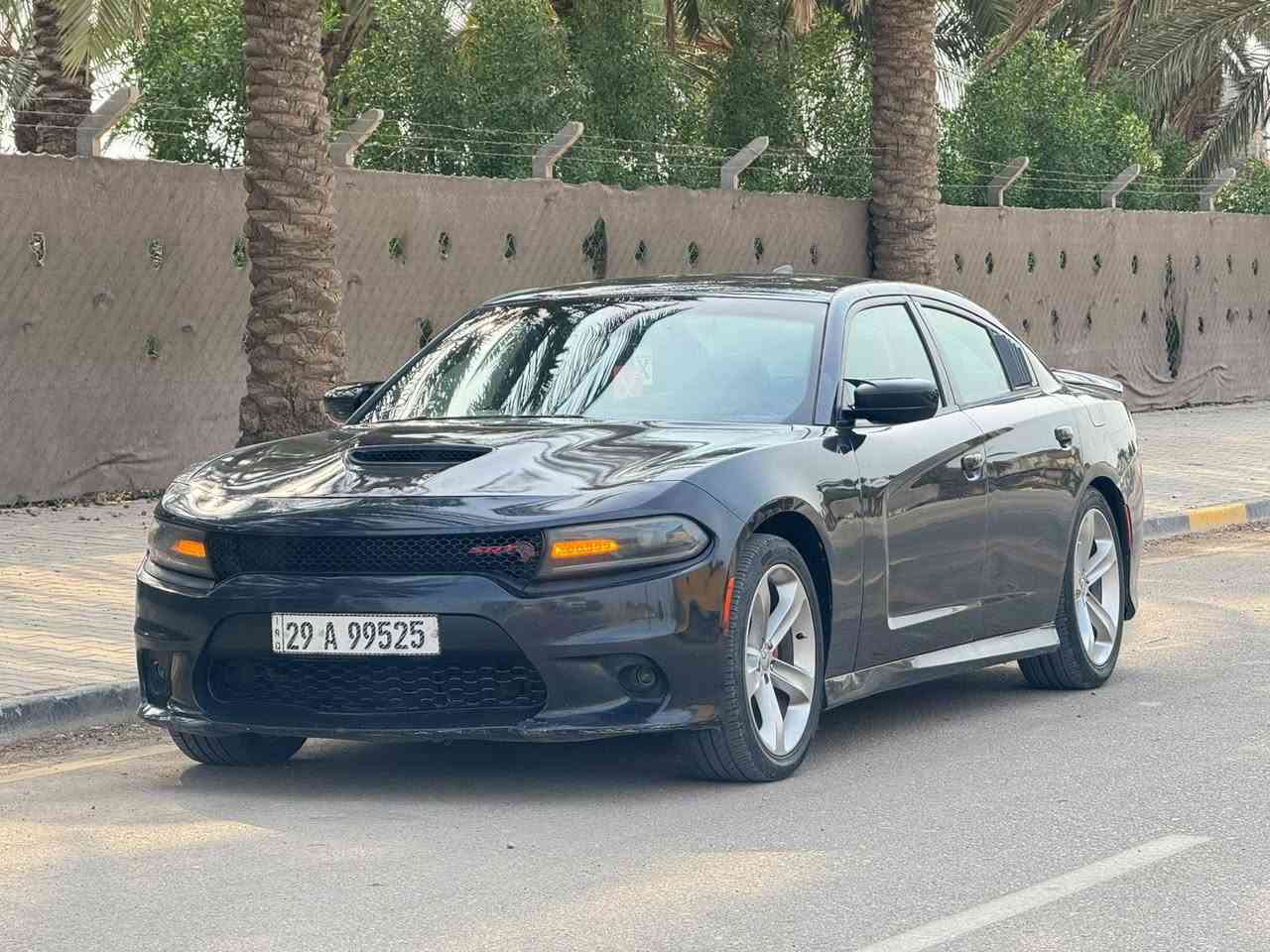 وارد امريكي • ٢٠١٦ • تحويل مباشر