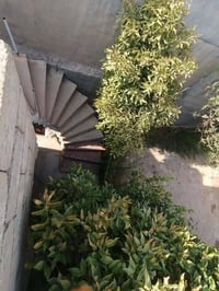 حي العروبة • ٣٥٠م • موقع تجاري